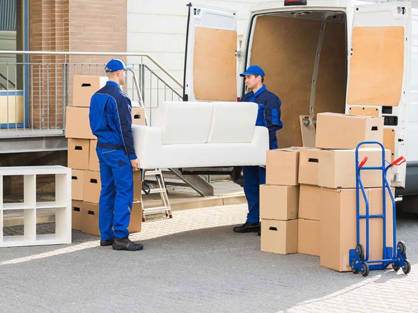 Domestic Removals  Domestic Removals