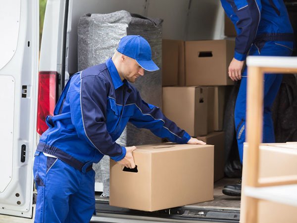 Furniture Collection