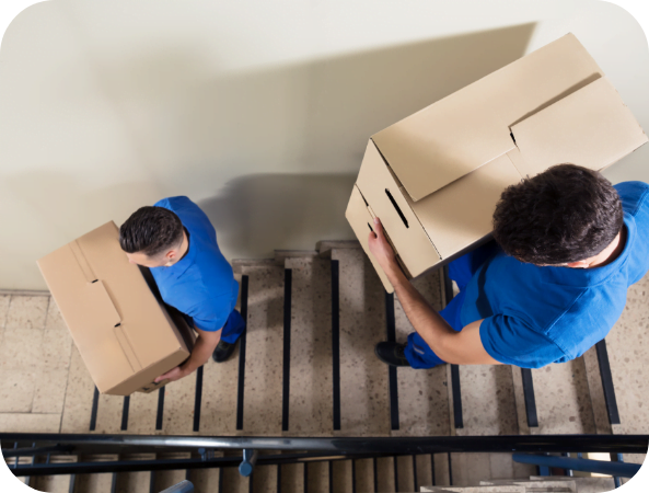 shutterstock_762117445