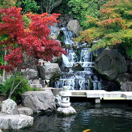 Strong Move Holland Park