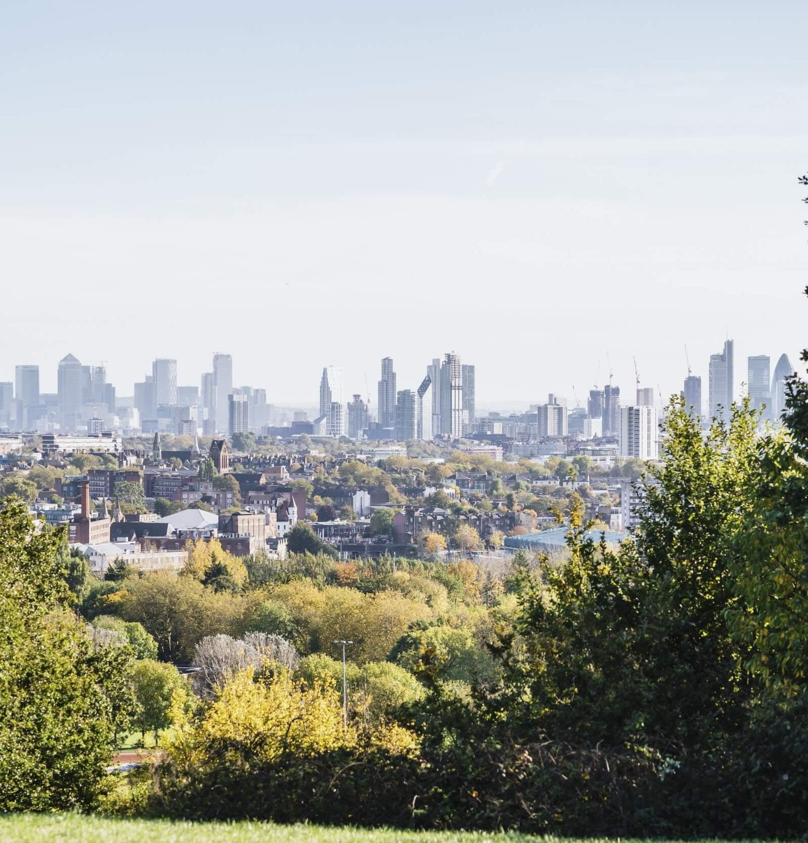 strong move hampstead heath strong move hampstead heath
