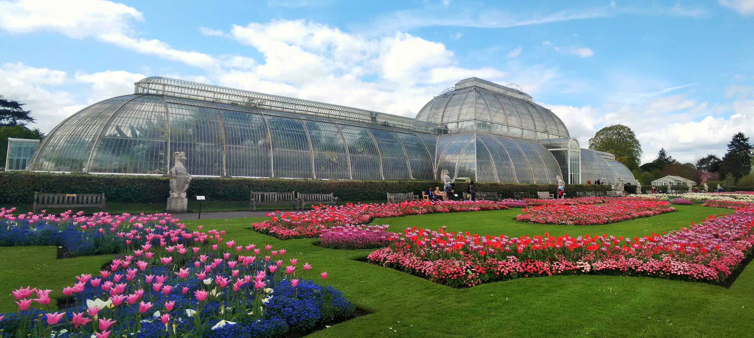 strong move kew gardens