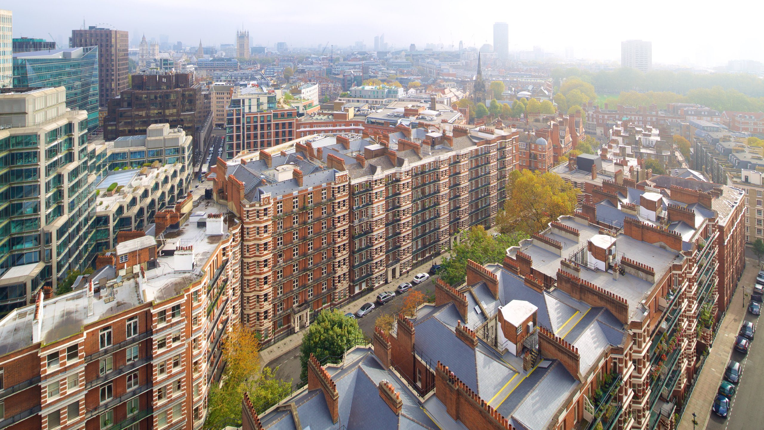 strong move pimlico strong move pimlico